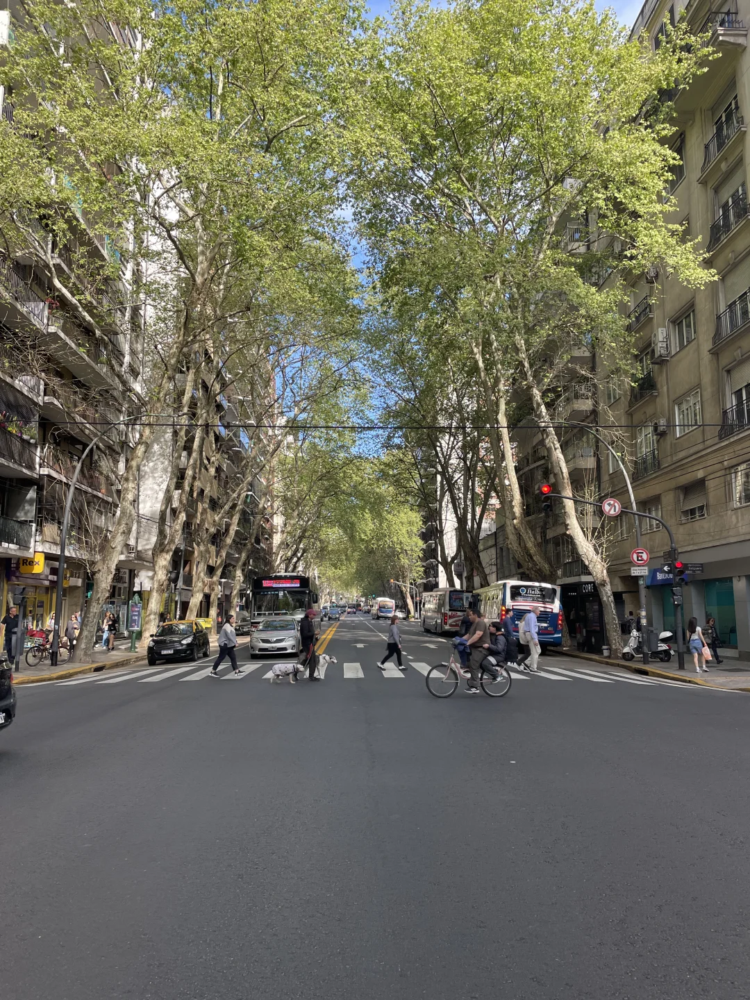 Buenos Aires story